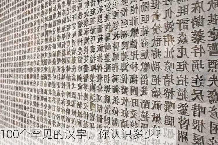 100个罕见的汉字，你认识多少？